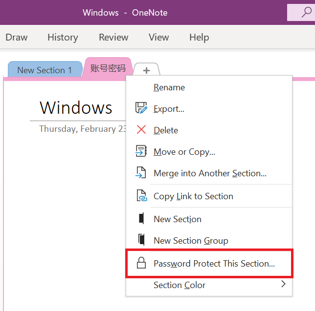 Password protect the section in onenote