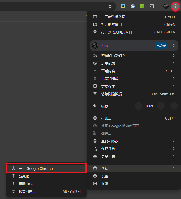 Chrome Version and Update